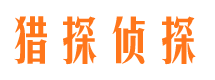 桐城市场调查